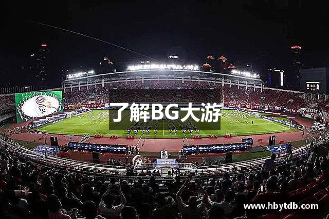了解BG大游